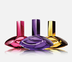 Calvin Klein Euphoria Elixir parfumeflasker